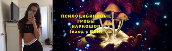 мяу мяу мука Белоозёрский