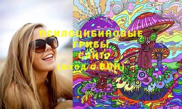 apvp Белокуриха