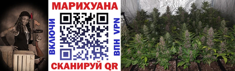 Бошки Шишки Ganja  купить наркоту  Юхнов 